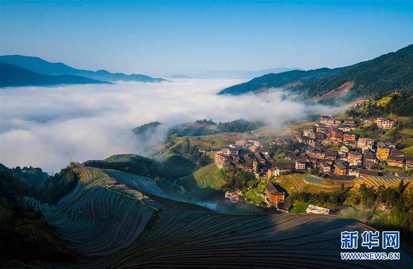 広西壯族自治區(qū)の棚田に仙境のように立ち込める雲(yún)霧