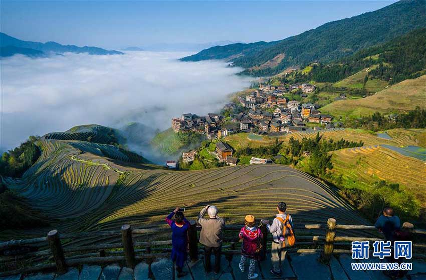 広西壯族自治區(qū)の棚田に仙境のように立ち込める雲(yún)霧