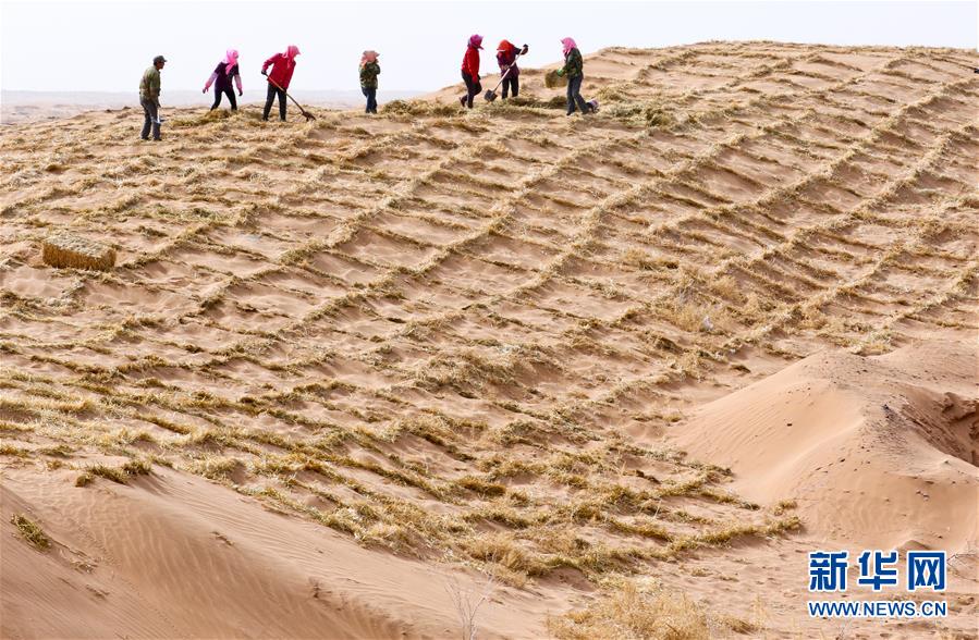 砂塵防止に取り組む甘粛省臨沢県