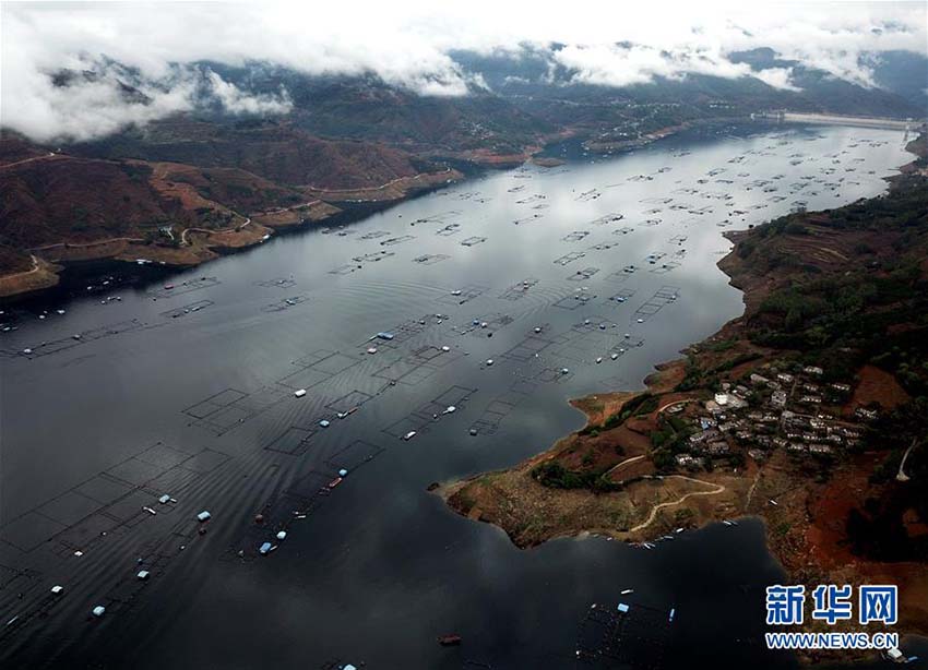広西壯族自治區(qū)の水面に広がる「田園風(fēng)景」