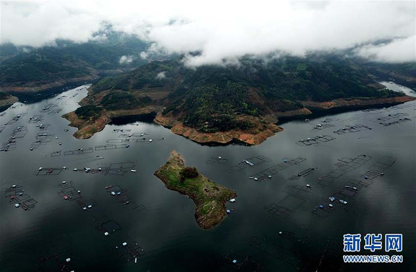 広西壯族自治區(qū)の水面に広がる「田園風(fēng)景」