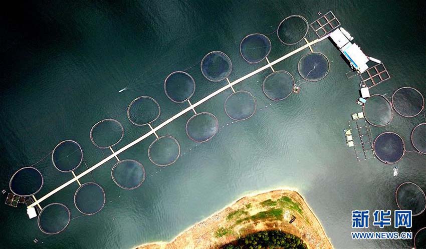 広西壯族自治區(qū)の水面に広がる「田園風景」