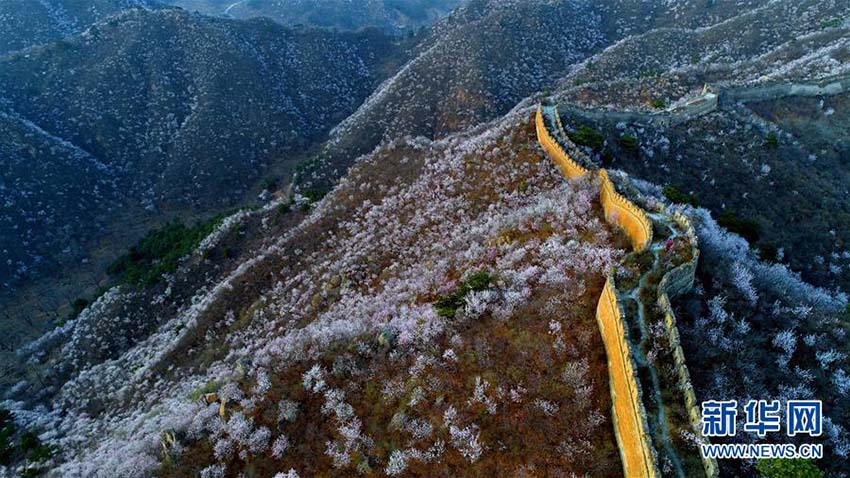 「古長城」に春の訪れ　北京市