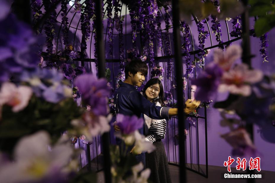 色彩によるイメージを體験できる「色廊展」開催 臺灣地區(qū)