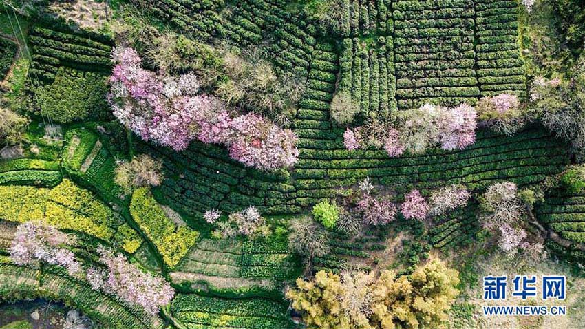 農(nóng)家の収入増加を目指した農(nóng)村構(gòu)築プロジェクト　江蘇省