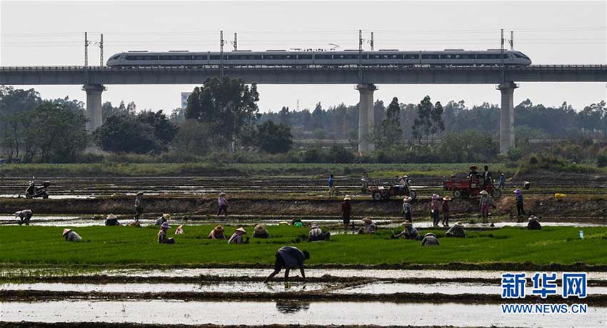 海南省の観光名所と重要都市を結(jié)ぶ世界初の環(huán)島高速鉄道