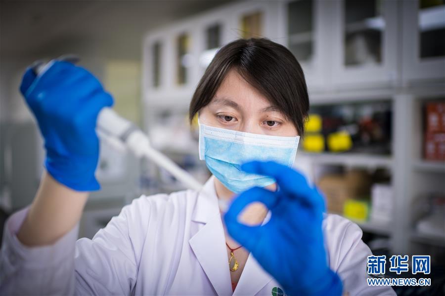 世界初の神経変性疾患モデル豚が誕生