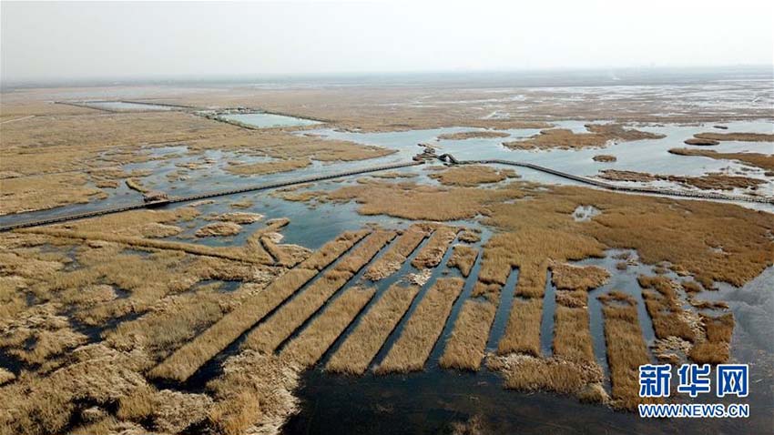 設(shè)立から1周年を迎えた河北省雄安新區(qū)、再び世界の注目集める