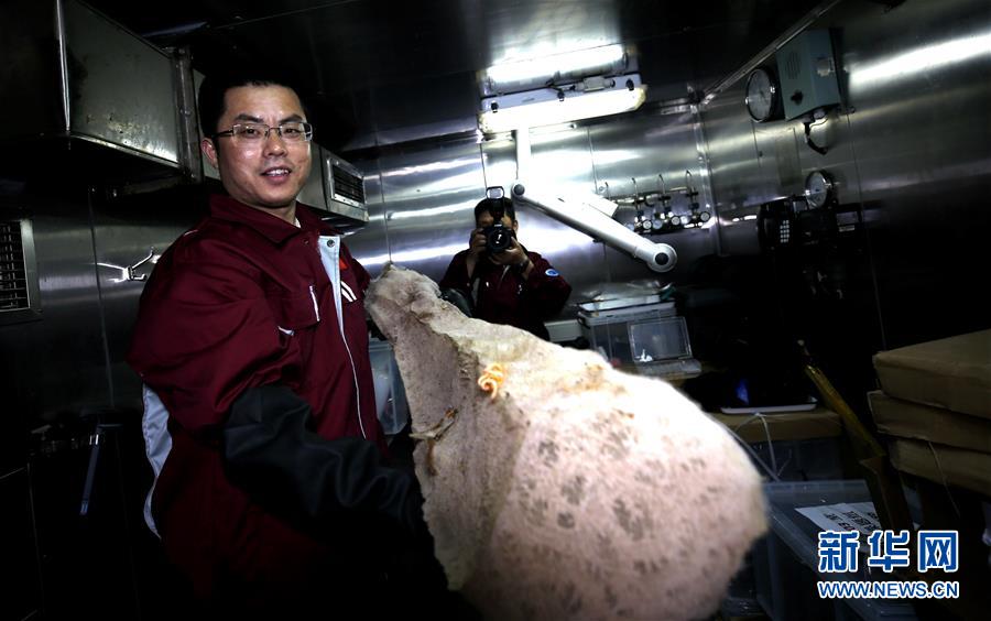 科學(xué)観測(cè)船「科學(xué)號(hào)」がマゼラン海山の総合調(diào)査を展開(kāi)