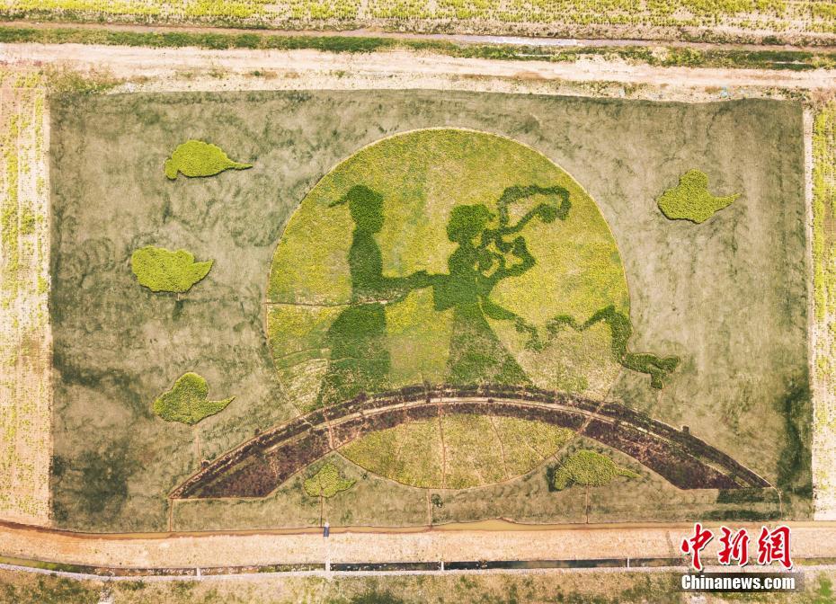 南京市に民間説話の名場面テーマにした田んぼアート出現(xiàn)