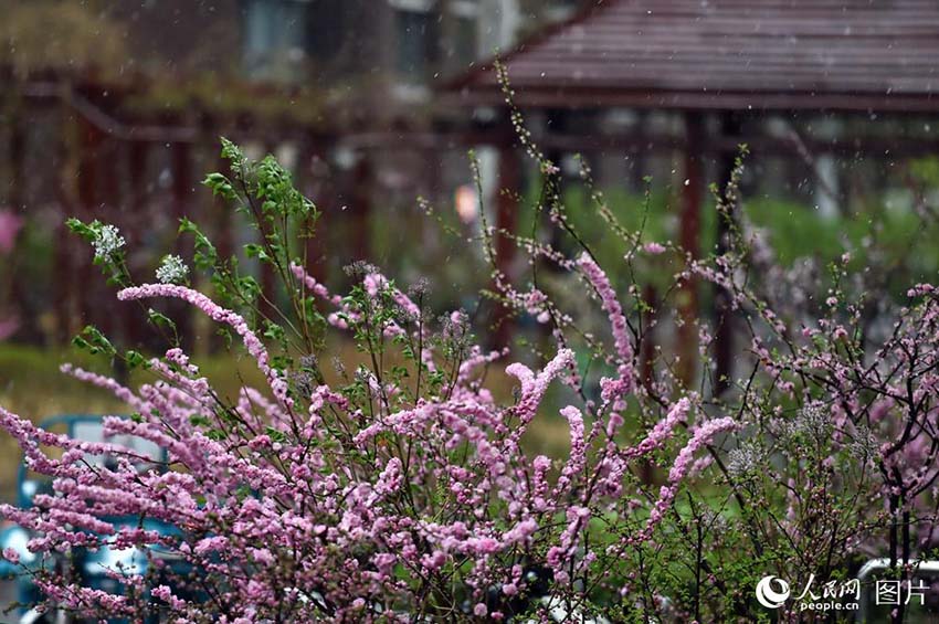 寒気の影響で北京市で気溫が一気に低下　市內(nèi)では一時(shí)みぞれも