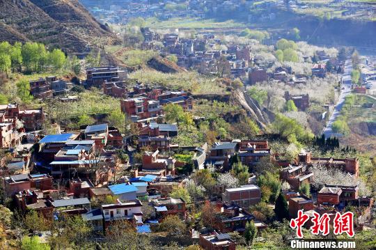 四川省茂県で桃の花が満開(kāi)　羌族の里はベストシーズン