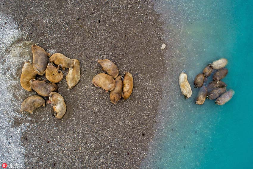 寫真家がドローンで撮影したアイスランドや北極圏の息をのむ絶景