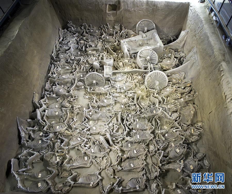 「2017年度全國(guó)10大考古新発見(jiàn)」が北京で発表