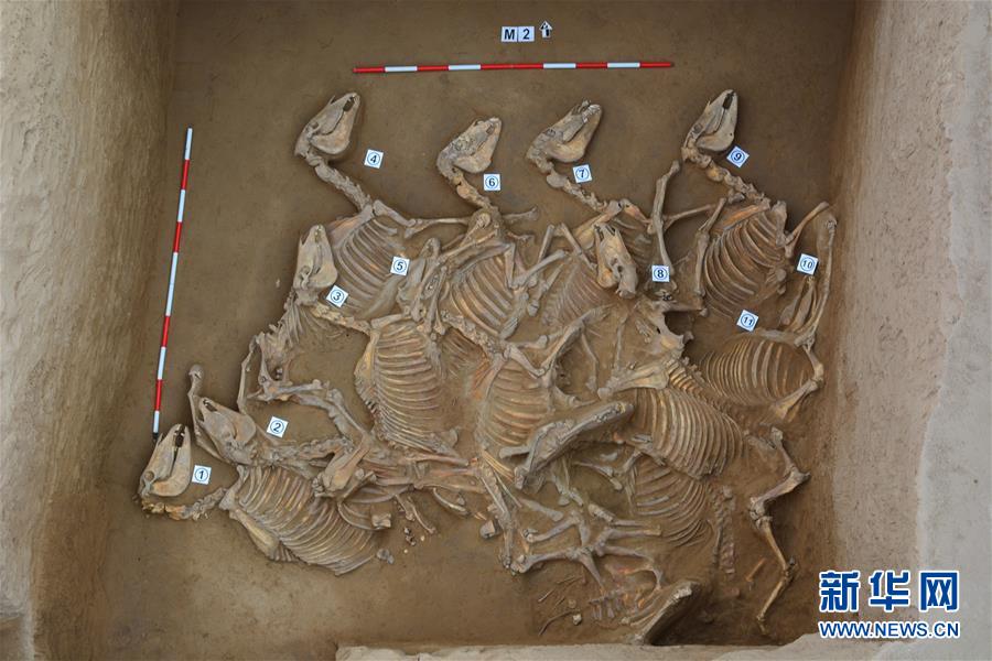 「2017年度全國10大考古新発見」が北京で発表