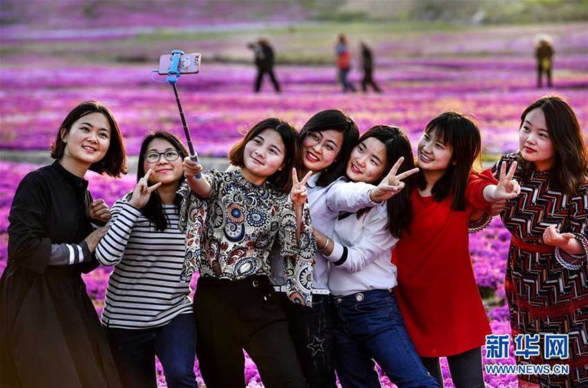 目の前に広がる一面の花の?！“不帐〈瑐}(cāng)村