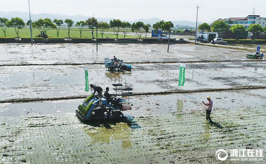 浙江省諸曁市で農業(yè)機械推進イベント開催　農業(yè)機械の卓越した性能を披露