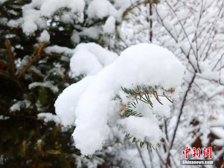 「中國(guó)の北極」黒竜江省漠河県、4月の大雪が街を覆う