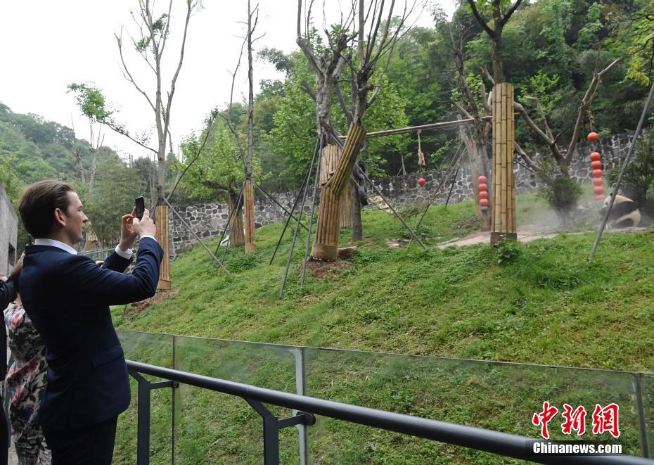 オーストリアの大統(tǒng)領(lǐng)一行、四川省でパンダと対面