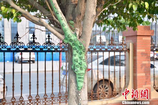 美大では木の幹もキャンパスに？キュートなイラストあちこちに　広西