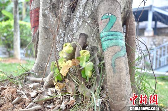 美大では木の幹もキャンパスに？キュートなイラストあちこちに　広西