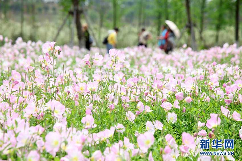 うららかな春、行楽を楽しむ人々