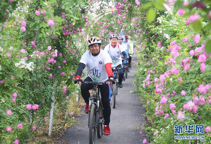 うららかな春、行楽を楽しむ人々