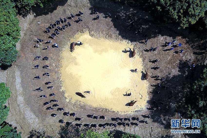 広西壯族自治區(qū)で「三月三」を祝う民族イベント