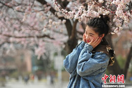 ピンク一色の美しい風(fēng)景広がる　遼寧省瀋陽市で桃の花が満開に