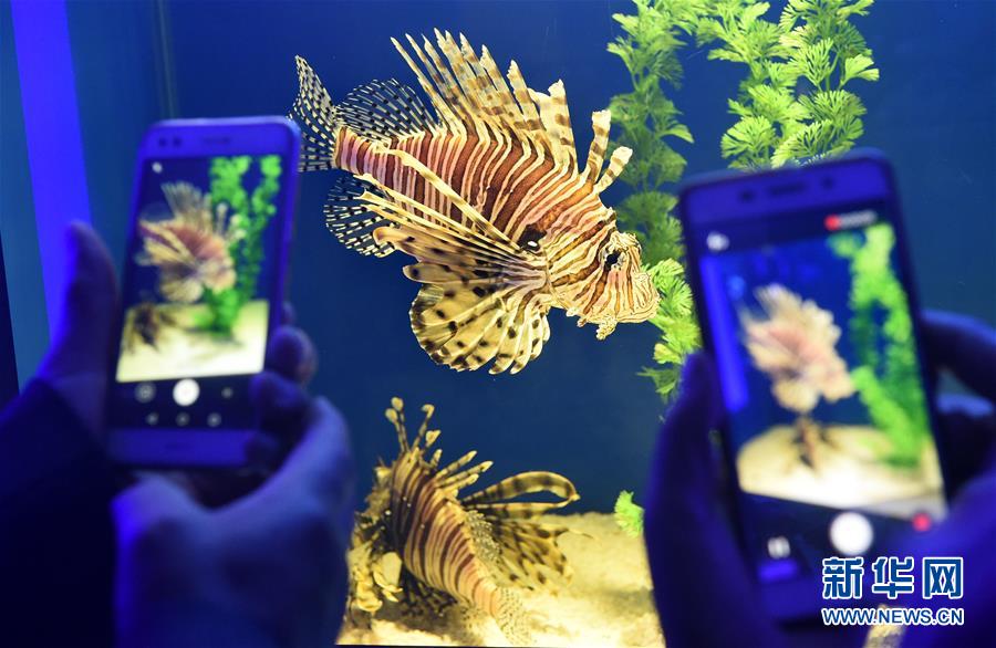 中國(guó)各地で「メーデー」連休スタート