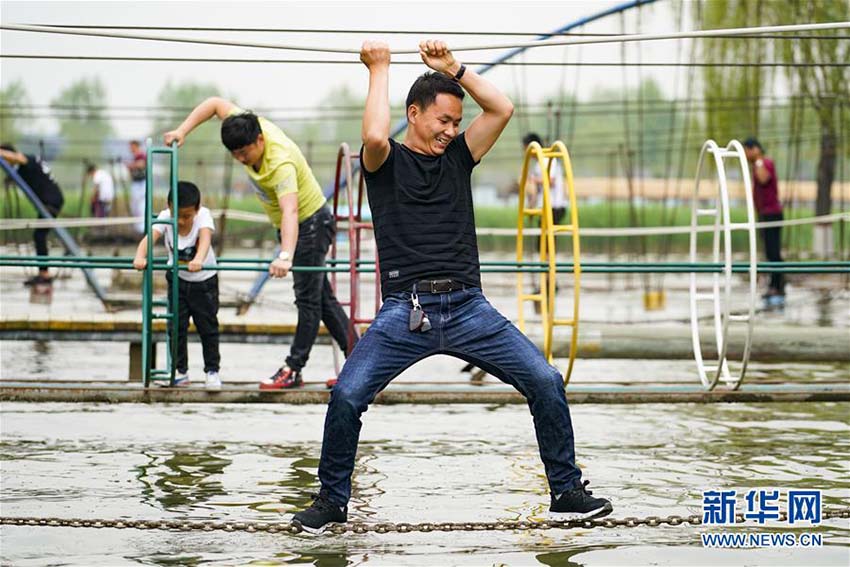 観光客惹きつける風光明媚な白洋淀景勝地　河北省