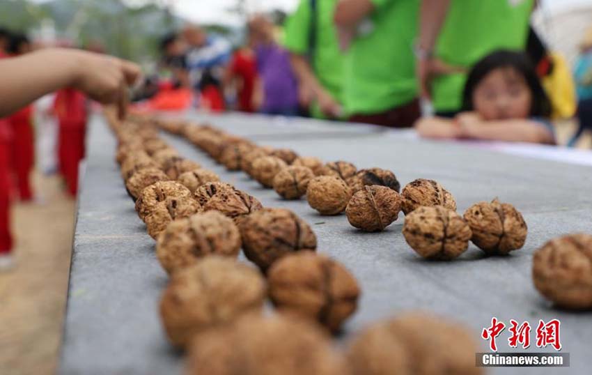 広東の武術家が1分間にクルミ337個を素手で割るパフォーマンス