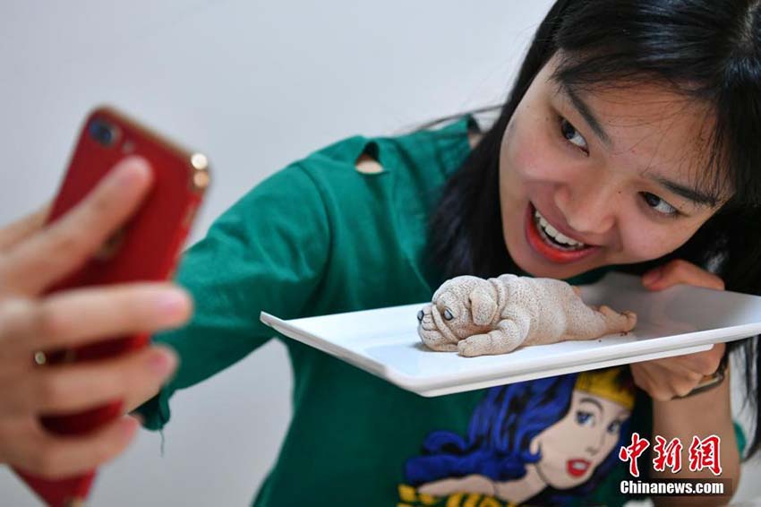 本物ソックリで食べられない？ネットで人気のケーキショップ 　雲南省