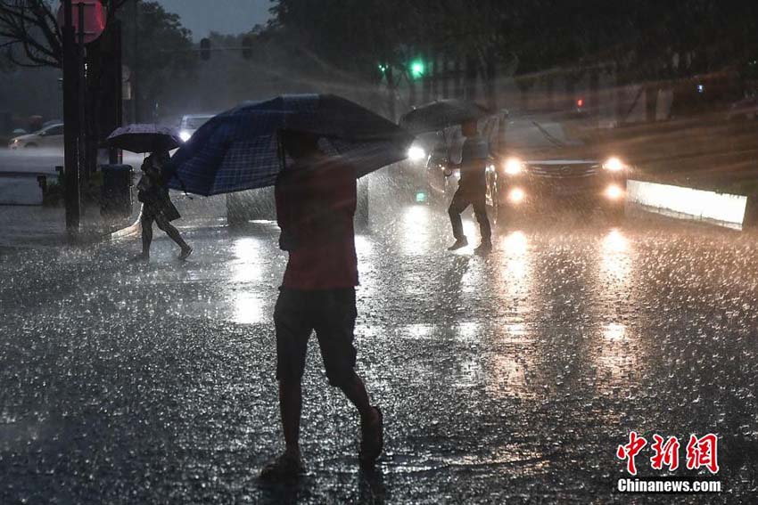 豪雨に見(jiàn)舞われた広東省、各地で暴風(fēng)雨警報(bào)発令