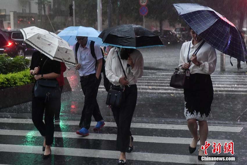 豪雨に見舞われた広東省、各地で暴風(fēng)雨警報発令