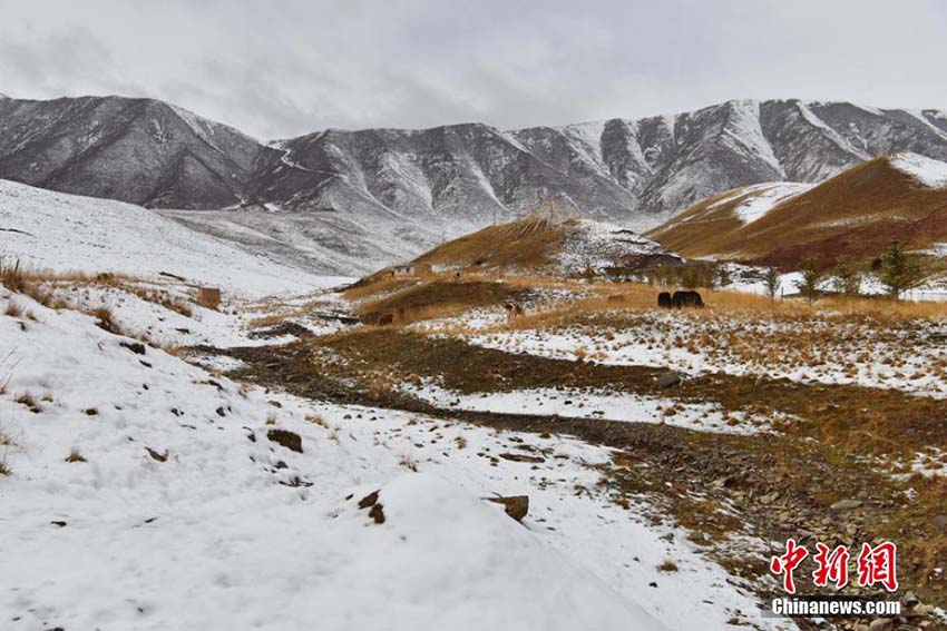 夏と冬が入り混じった不思議な景色　雪に覆われた甘粛省の祁連山