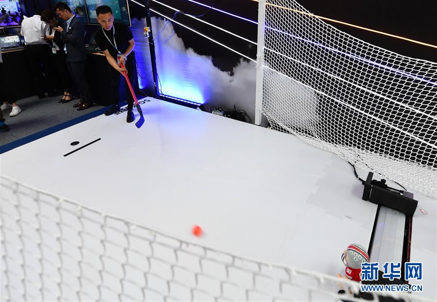 世界未來(lái)ネットワーク発展サミットが開催