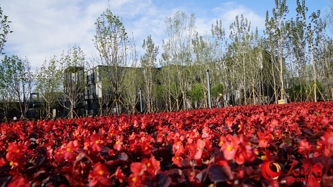 雄安市民サービスセンターは「オープン、シェア、スマート」がキーワード