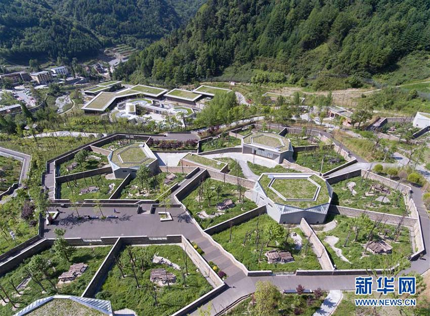 青々とした山々に囲まれたパンダの「幼稚園」