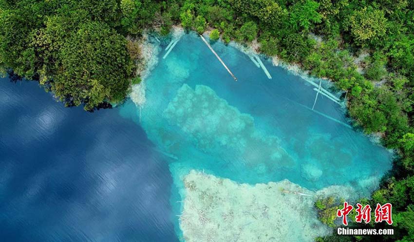 かつての美しさ取り戻した初夏の九寨溝景勝地