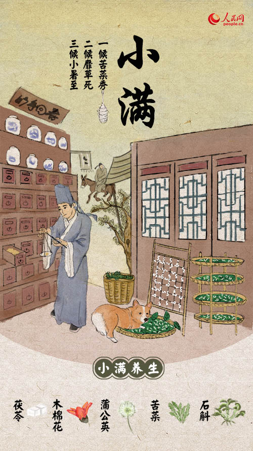 二十四節(jié)気「小満」迎え、収穫の季節(jié)到來(lái)！