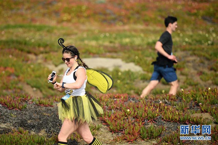 サンフランシスコで毎年恒例の「ベイ?トゥー?ブレイカーズ」　米國