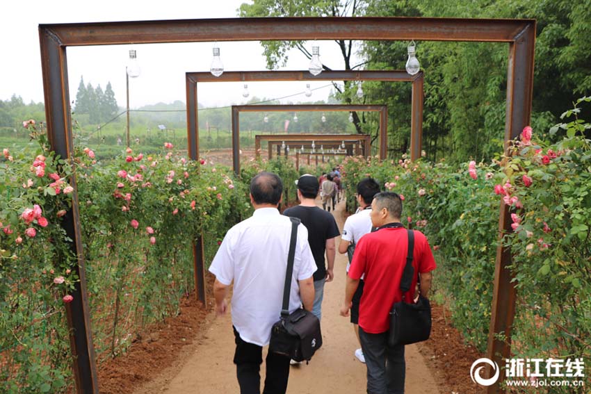 バラ文化フェスティバルを通じてコスメタウン湖州市の花開く　浙江省