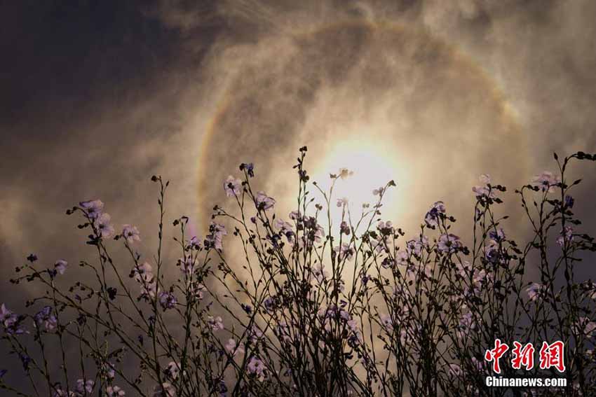ラサ市上空に珍しい日暈出現(xiàn)　チベット自治區(qū)