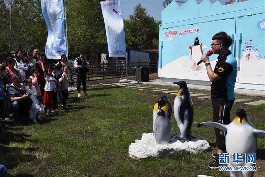 人気者のペンギンたち「ツアーカー」で黒竜江省巡回ツアーへ