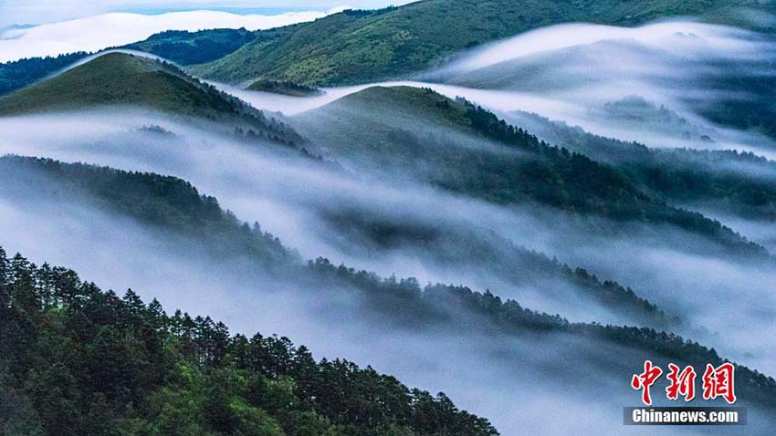 息をのむほどの美しさ　湖北省神農架國家公園