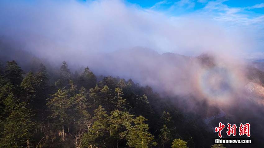 息をのむほどの美しさ　湖北省神農(nóng)架國(guó)家公園