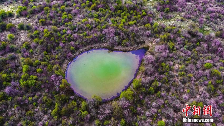 息をのむほどの美しさ　湖北省神農(nóng)架國(guó)家公園