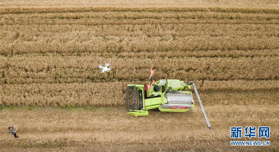 中國(guó)初の全過(guò)程無(wú)人農(nóng)機(jī)の試験がスタート