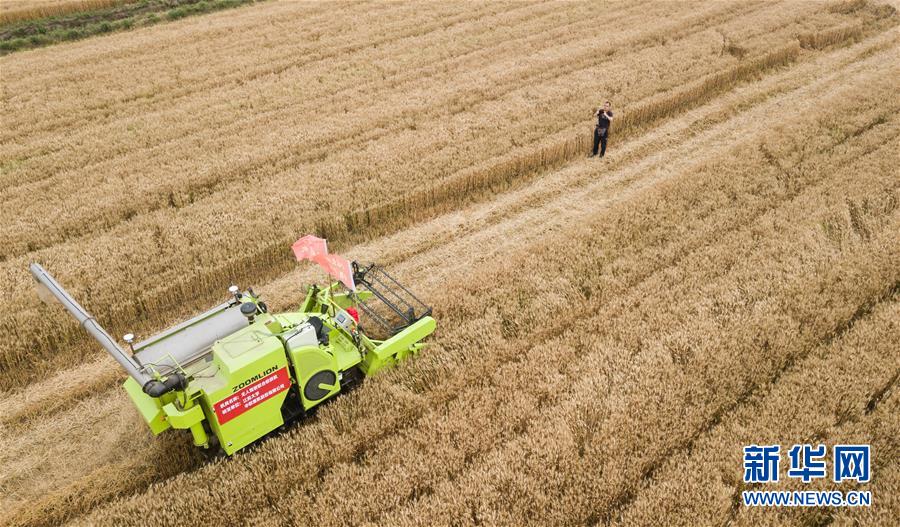 中國(guó)初の全過程無人農(nóng)機(jī)の試験がスタート